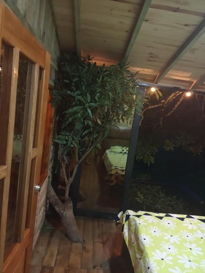 Отель La Casita Del Arbol Guaduas Cundi. Экстерьер фото