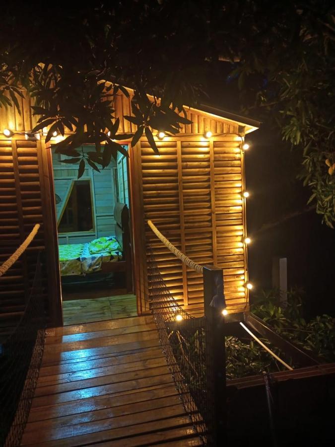 Отель La Casita Del Arbol Guaduas Cundi. Экстерьер фото