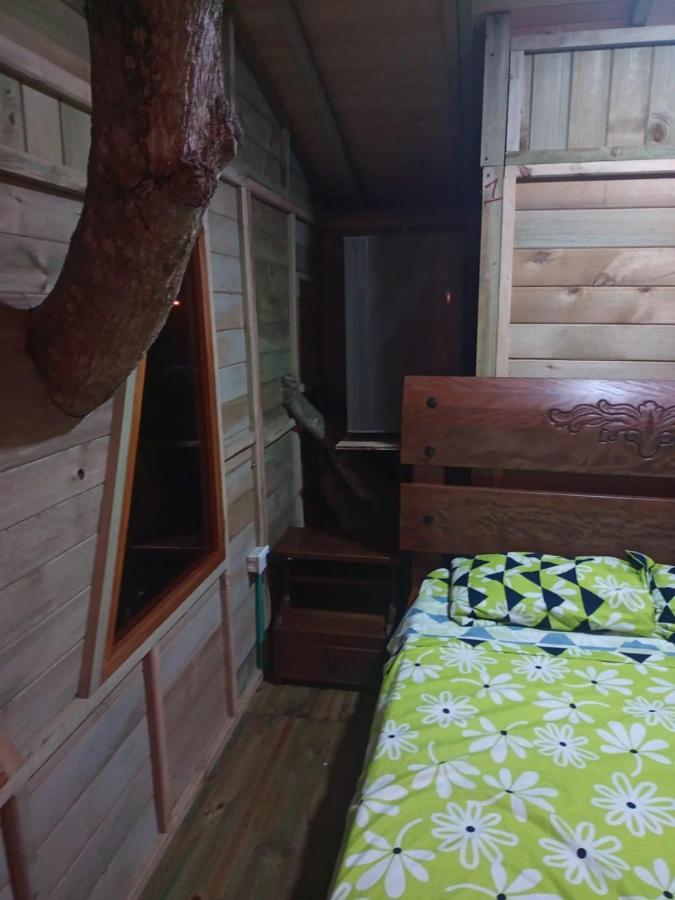 Отель La Casita Del Arbol Guaduas Cundi. Экстерьер фото